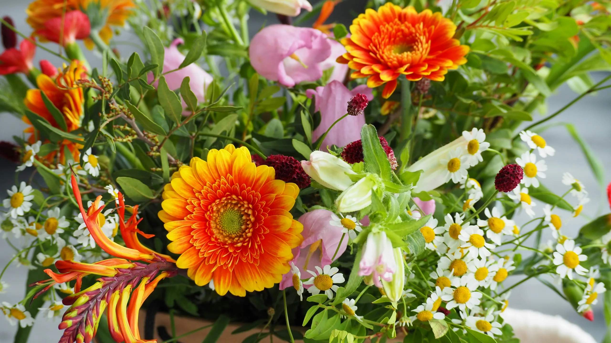 Amersfoorts bruidspaar viert 60-jarig huwelijk met burgemeester