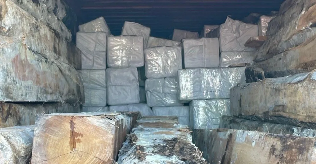 Verdachte (69) blijft langer vast voor recordvangst cocaïne Amsterdamse haven