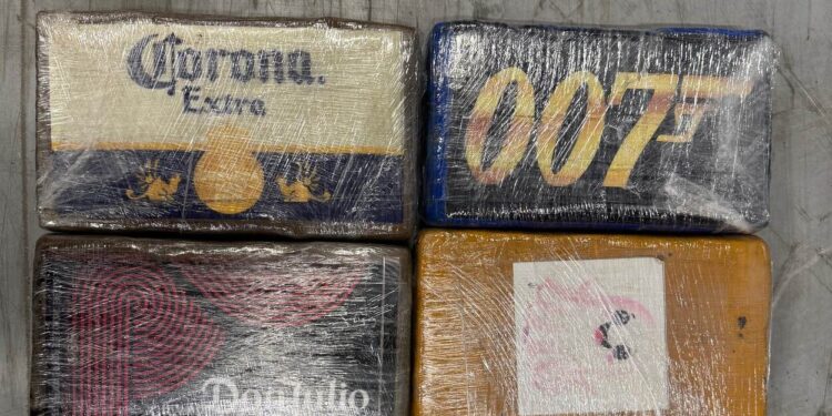 Cocaïne tussen mango’s: douane onderschept 463 kilo drugs