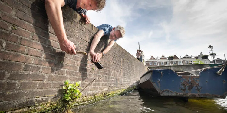 Frederic Lens en Jordy Janssen van Leiden Biodiversity Network gebruiken de app ObsIdentify tijdens Expeditie Stadsnatuur