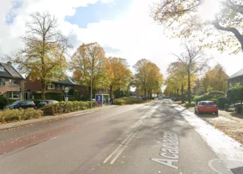 Bomen Acacialaan Leiderdorp