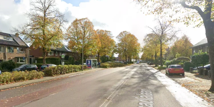 Bomen Acacialaan Leiderdorp