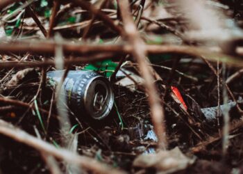 10 jaar lang een schone wijk: Zoetermeerse ‘prikheld’ krijgt koninklijk bedankje