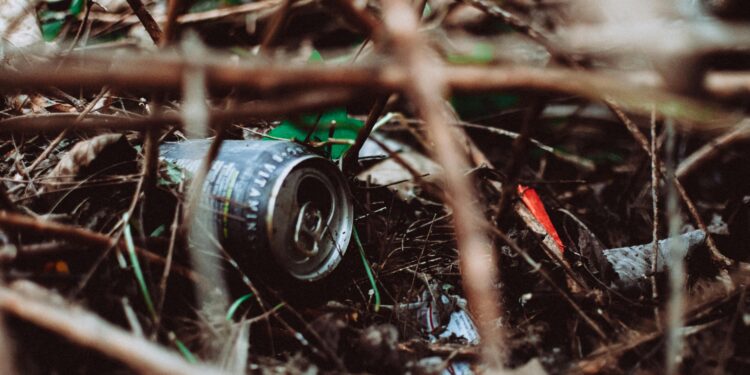 10 jaar lang een schone wijk: Zoetermeerse ‘prikheld’ krijgt koninklijk bedankje